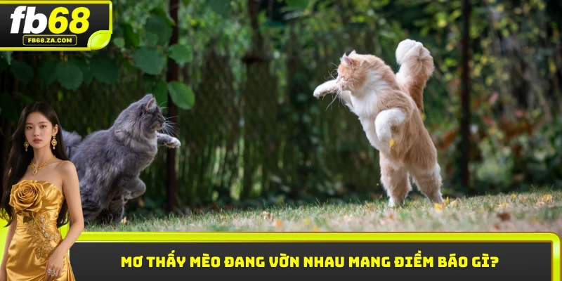 Mơ thấy mèo đang vờn nhau mang điềm báo gì?
